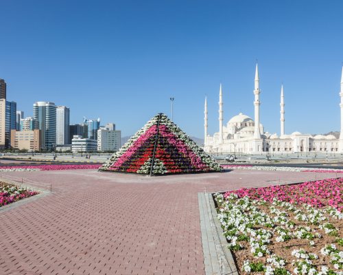 uae-fujairah-grand-mosque-with-flowers