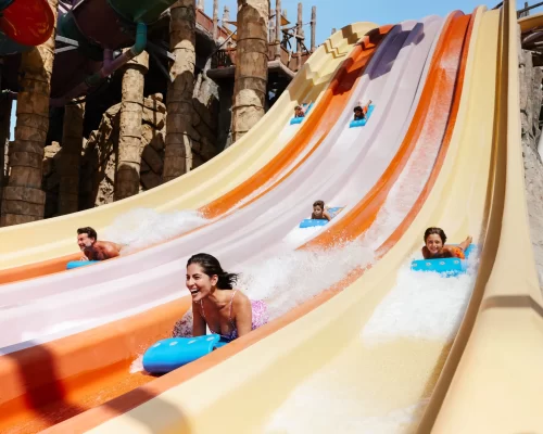 daredevil-rides-and-epic-slides